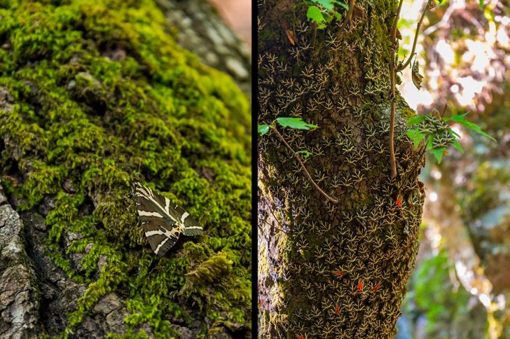 70f1065e4897ee547f989cc578