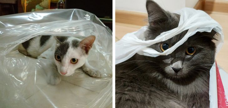 70f27a5dcda8379e68e2b2e12c