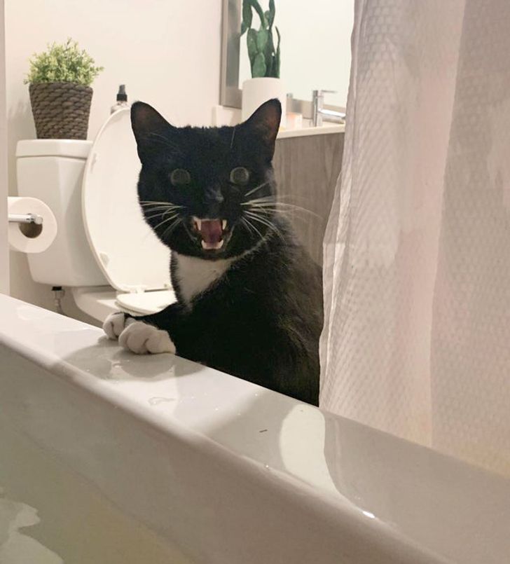 70f35a5305a0228fdd2a6b4204