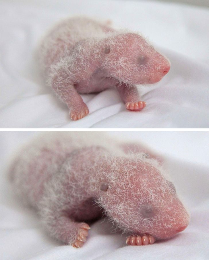 70f7b55a959c767eeb0f130256