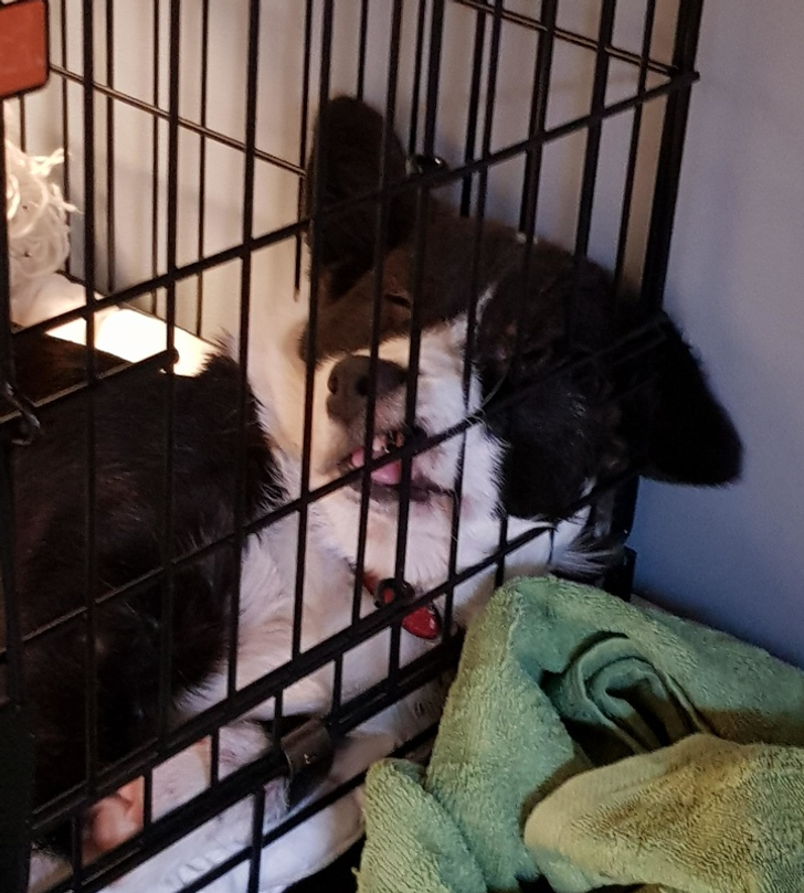 70fd2b54a3ba0f107f23b37b1e