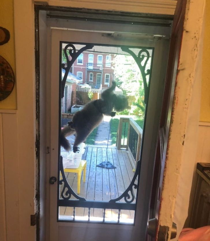 70ffbb561bb6a41717d94dc41b