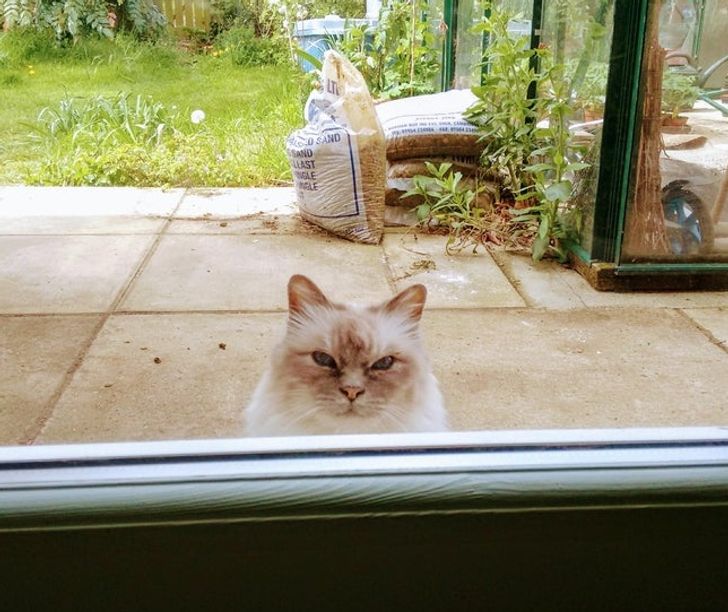 710271563188fade33fbbfe77e