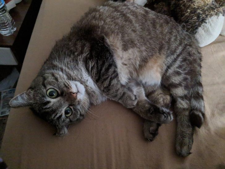 7107ae5c21a8b24a1293ecadb5