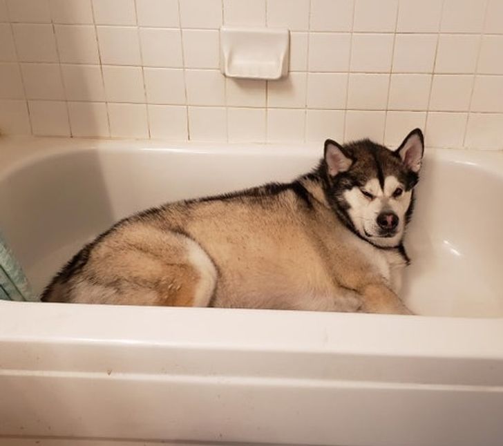 7108555a0f89e2b02cdf93259c