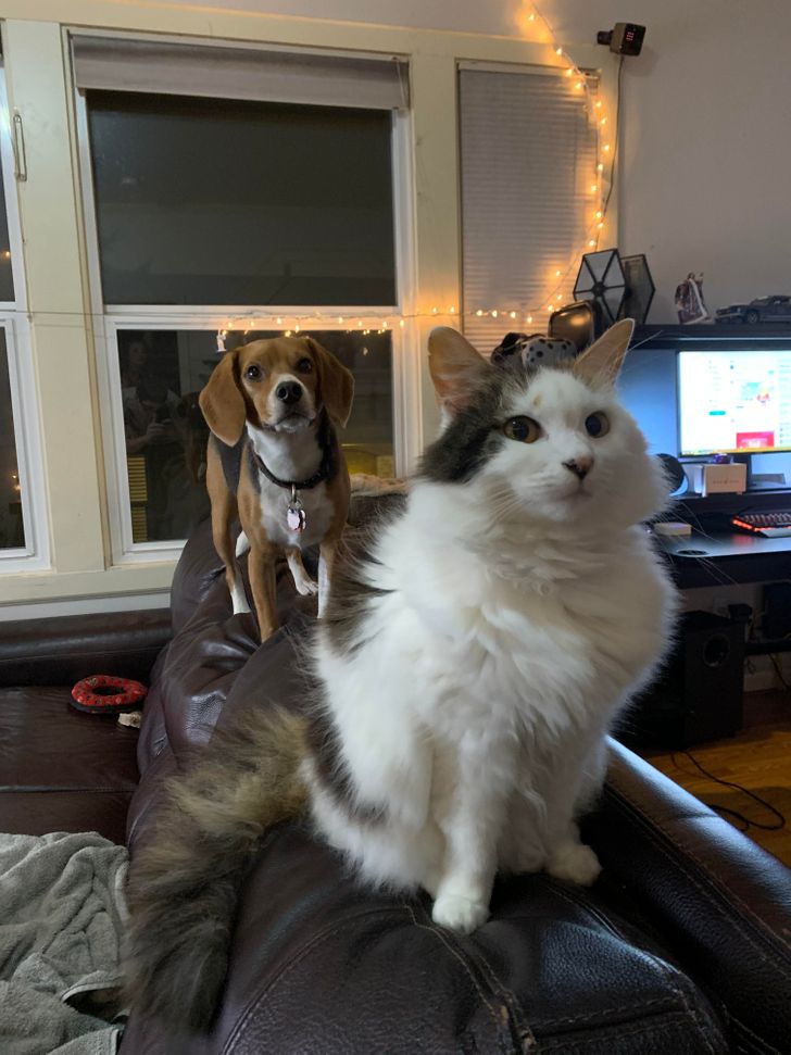 710a3759239ea41772ad7cb36b 710a3759239ea41772ad7cb36b