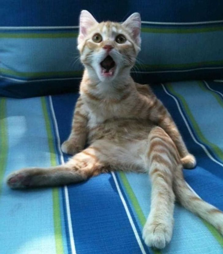 710e275022855a04d9047fff5e