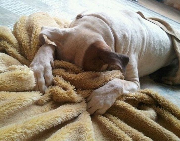 71191757ea8d307fd5c2d3852c