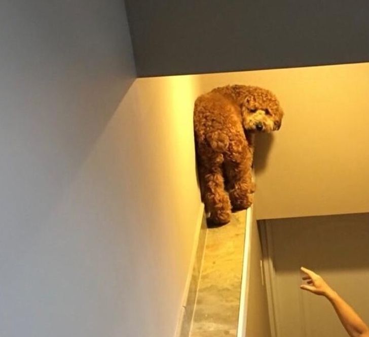 711e4a500e8a8b38762c62c897