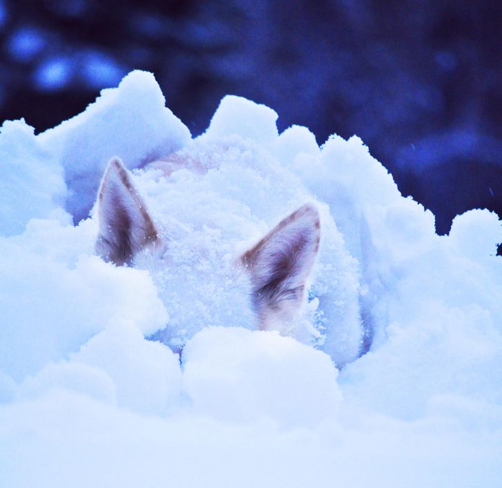 71258a5579b5894688d9fc63cc