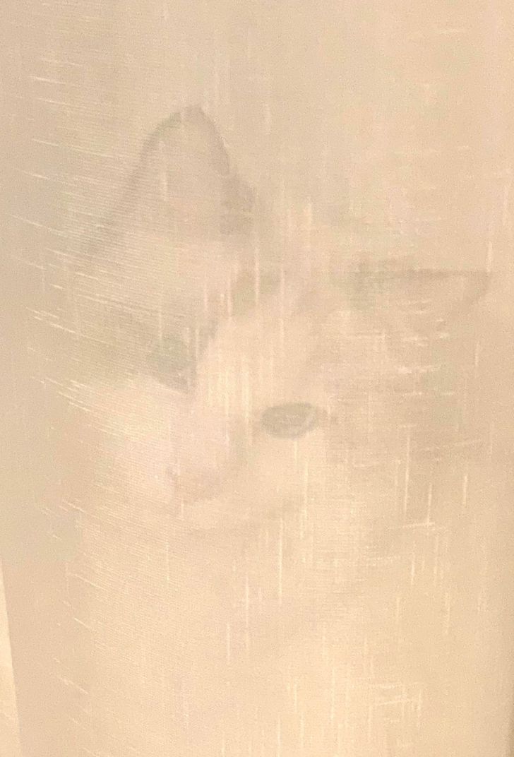 712bce5c2a9193f8fdc8cae528