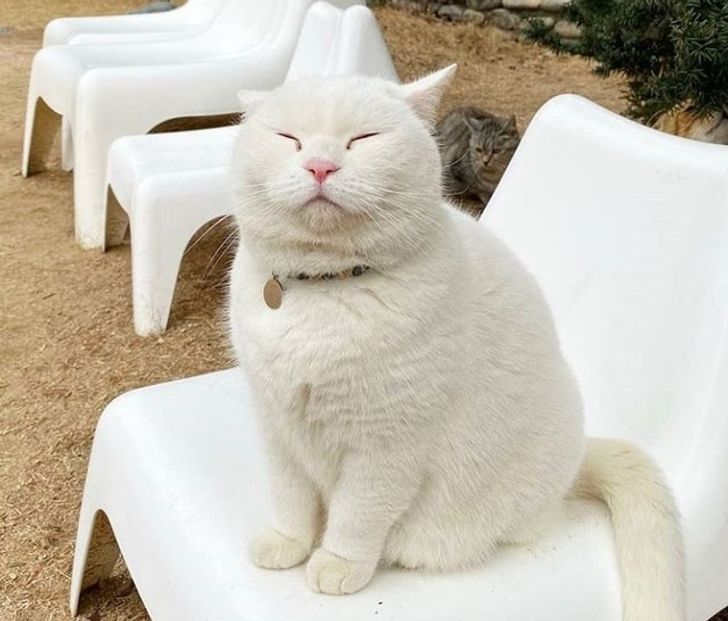 71390459408ddd4db7626333aa