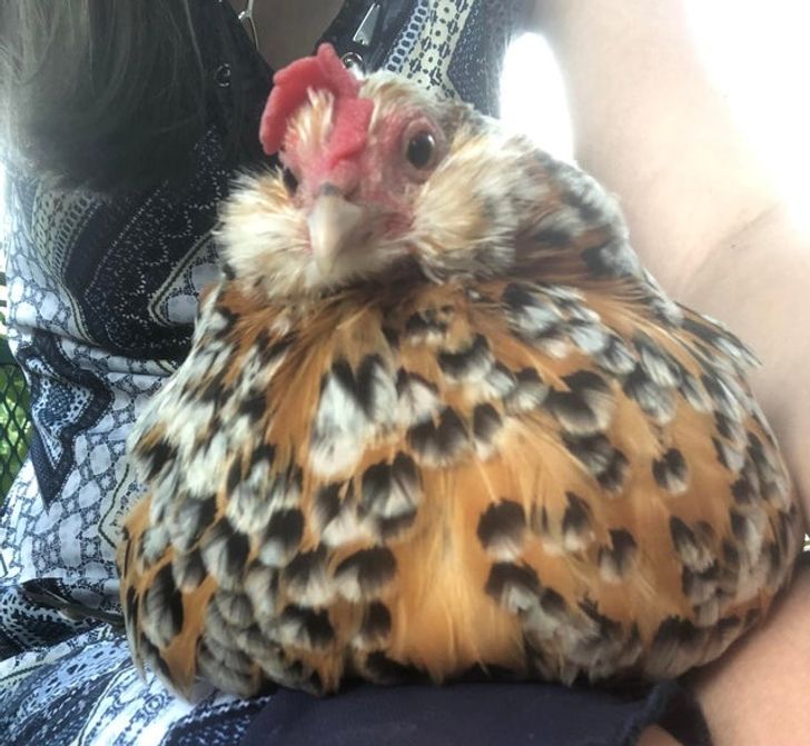 713b4e50ed9df0d9ea1b80d79e