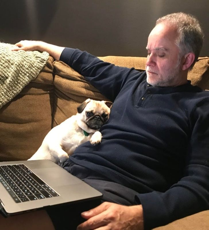 713c265392b856420910179f1d