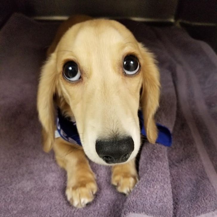 714bf0501c9e71fa4ab2c78ada