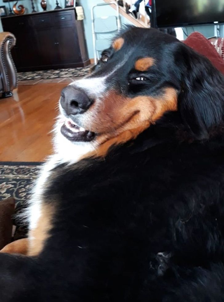 714d0e5d708c8b1127f1a3993e