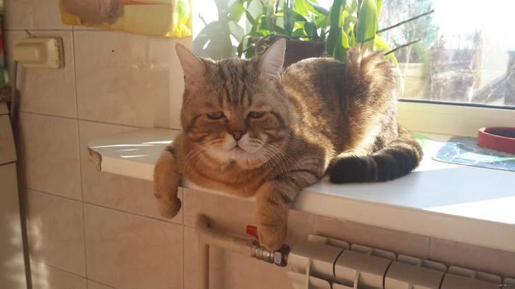 715e1050979b98e14d68004e69