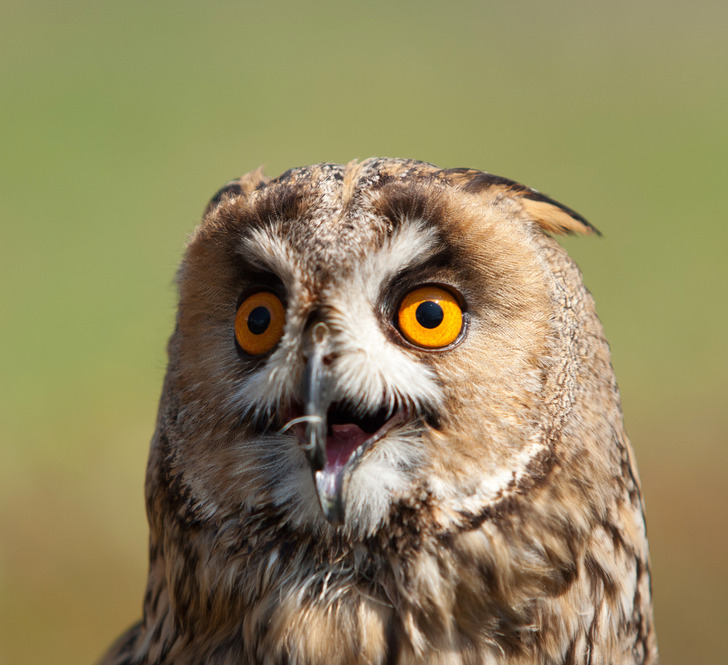 71630258c98abad297de7b6d17