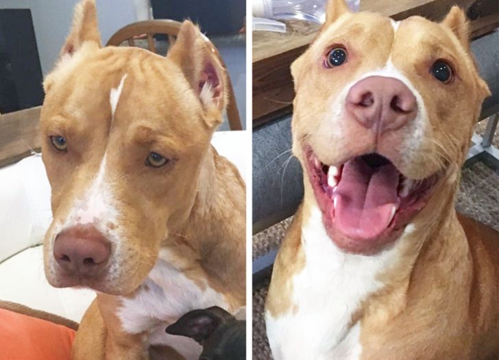 7167f053cfa3ada1861bfcae64