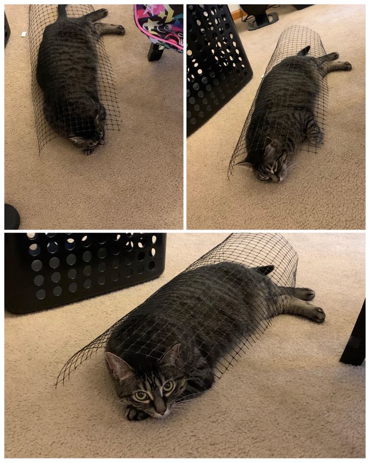 716a135033accb8b7c6f5601b7