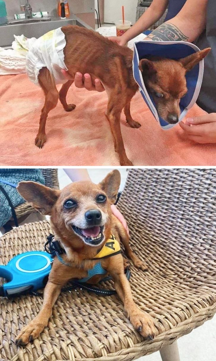 716c40533f857276ab0edbec4e