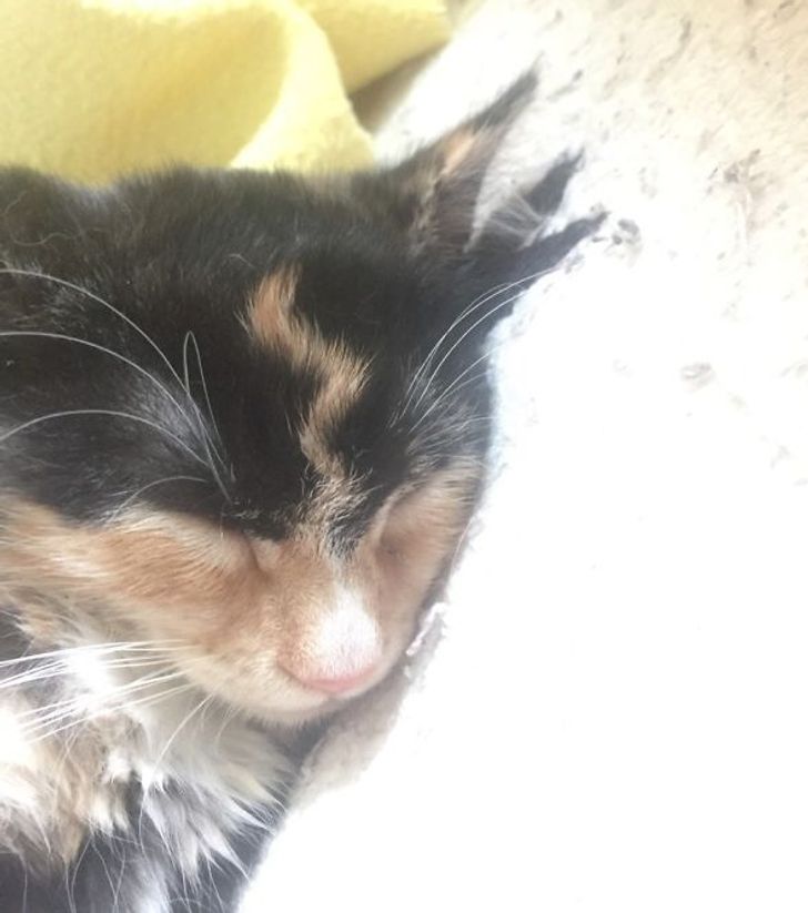 7174235dc6b9b56509d6624ac5