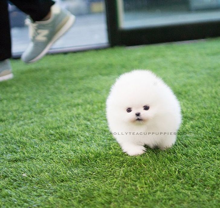 71836a5fc694034265f14c9d6c