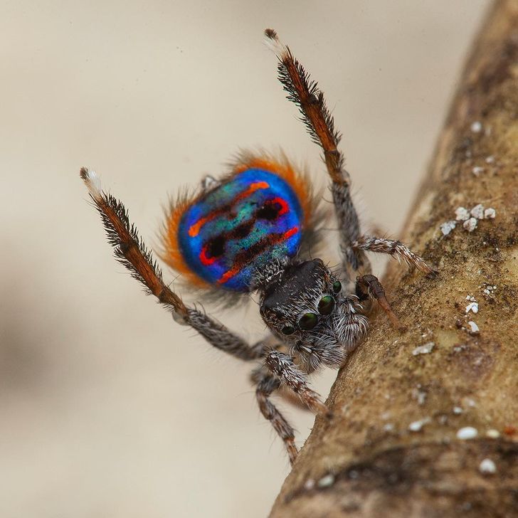 7183bb5e979fb6b3c97f22427c