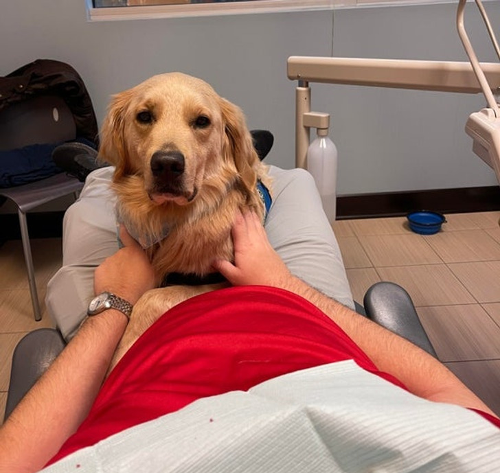 718602545382fdbd1614c8753e 718602545382fdbd1614c8753e