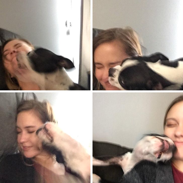 71988b55c594405b7c295d66c4