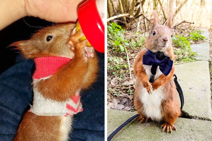 719cef595db6cd0a03ee9e842c