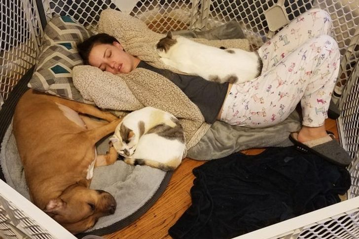 719f1a55e1bdd8605cf88d979a