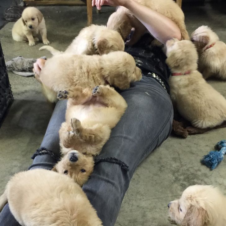 71a8445dfb9f093c7cc40bb054