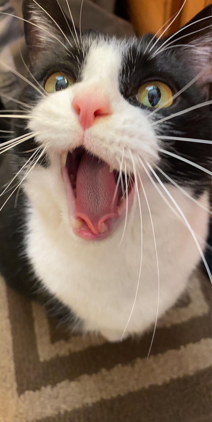 71a9765606a89d3db2d8ecff86