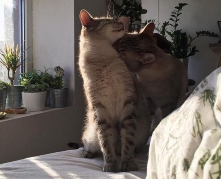 71af0c591fb3afa8b6e42d44e8