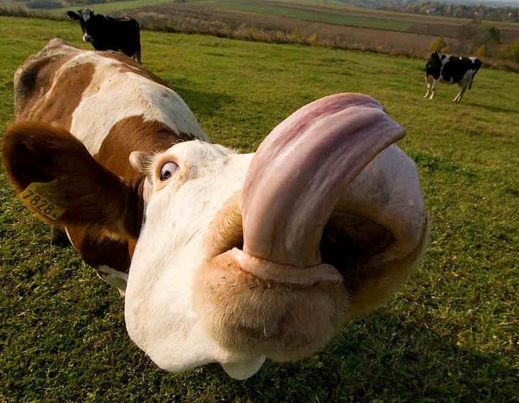 71c012573eba705c343b35ae2a