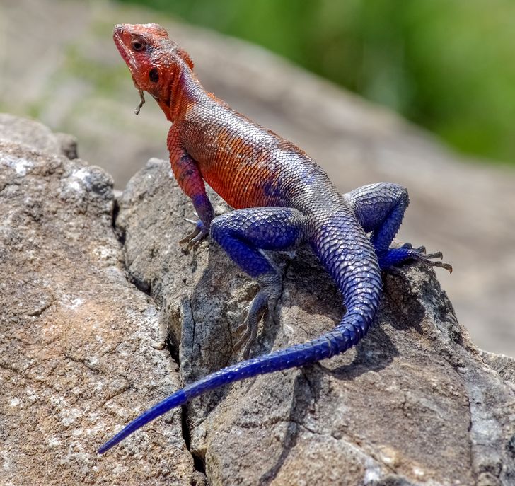 71c0a351b2aa50a5b670ae2303