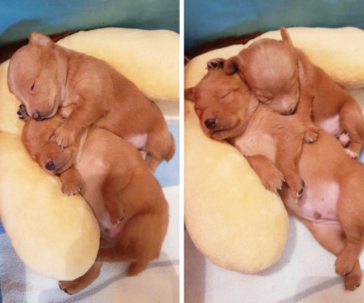 71c200548b94d93e2dcc29982a