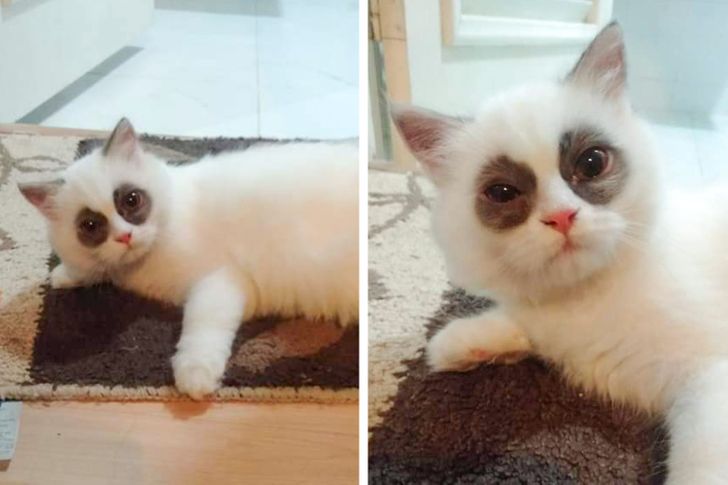 71cd905b6784eb0c4669fa8195