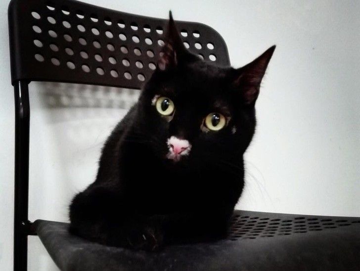 71d1915de0a6bd0d69772baf68