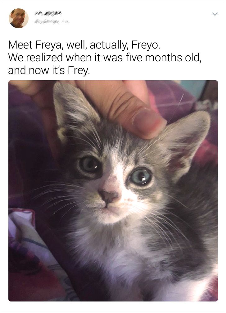 71d38356208a3fa58f06da8e4a