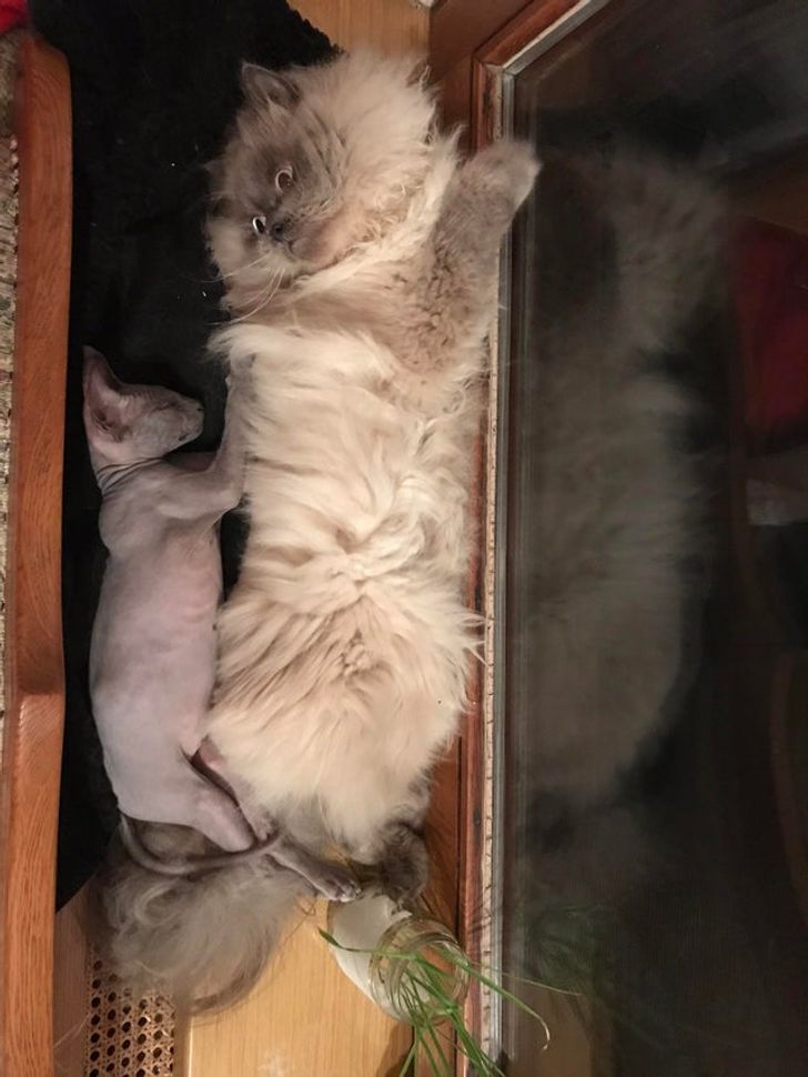 71d4d55aec8835092f353538c3