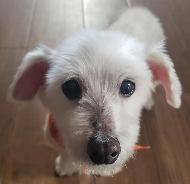 71db1256939807b4e6dc73a8ae