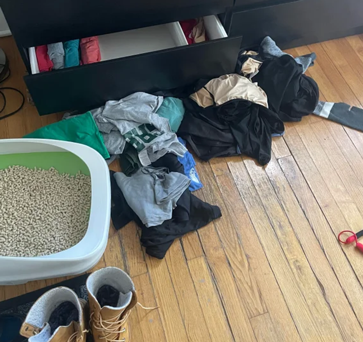 71dbe05cdc948df599062ca119