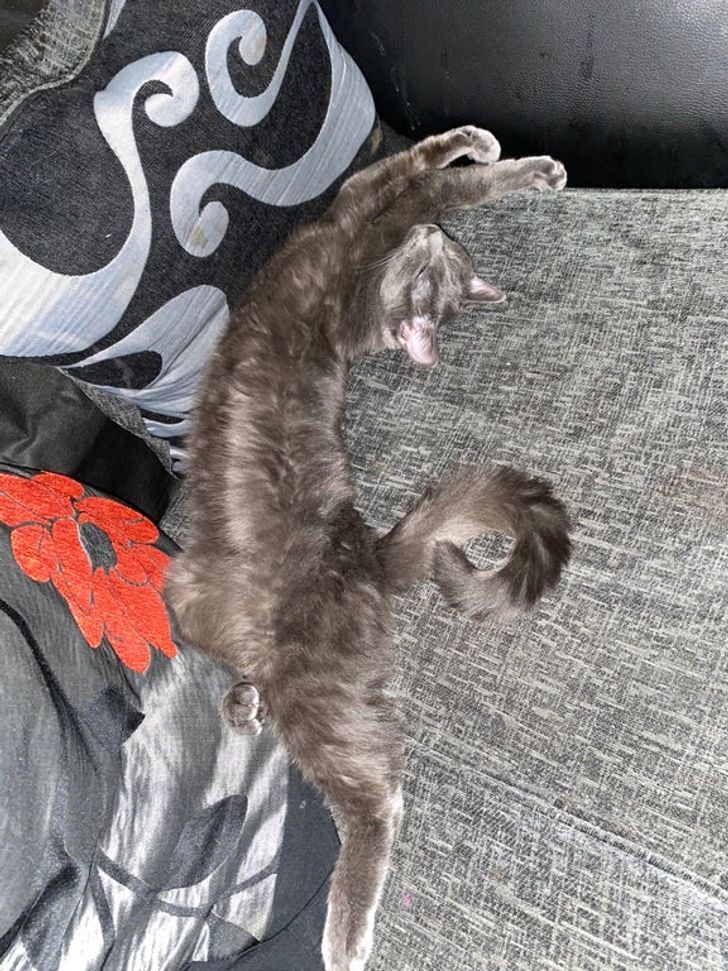 71dbfe53468b2538dc921e3da0