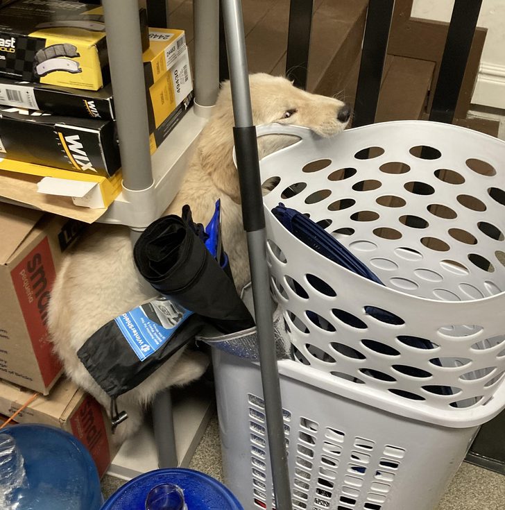 71dd945cb39c83f8f8b03f7f78 71dd945cb39c83f8f8b03f7f78