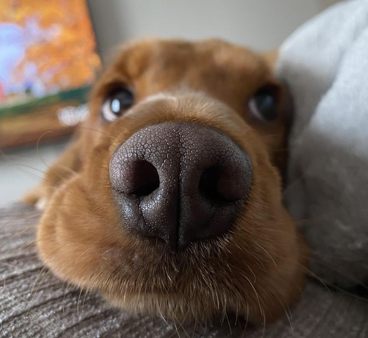 71e0b45d4891e31da58e072a3a