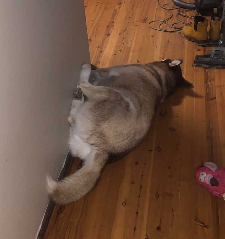 71e43a5fef8639df7f3ff587e3