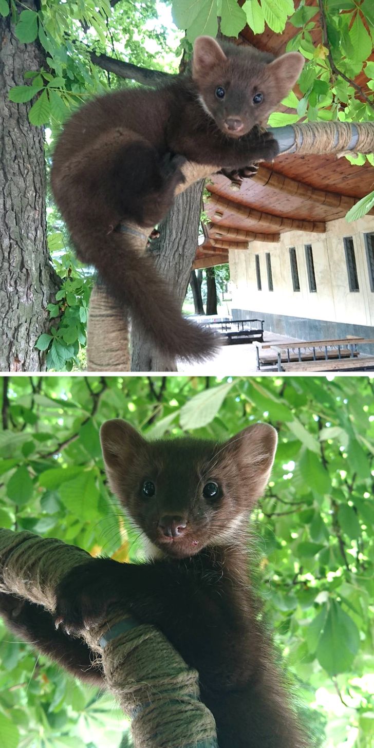 71e62d5719970157f4bad248ec