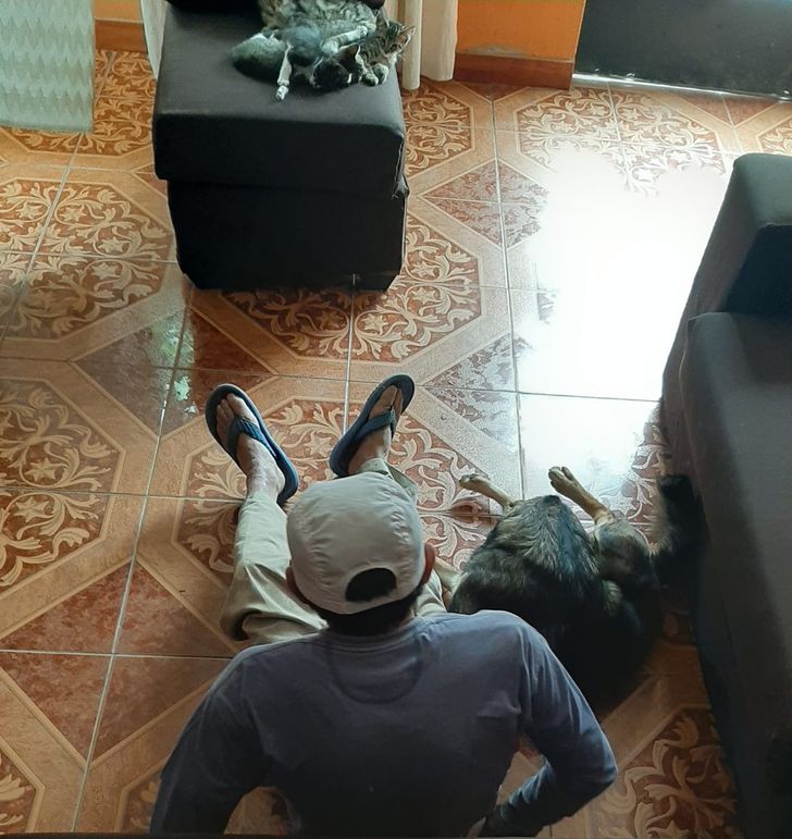 71eb465ee7815556065d648be7